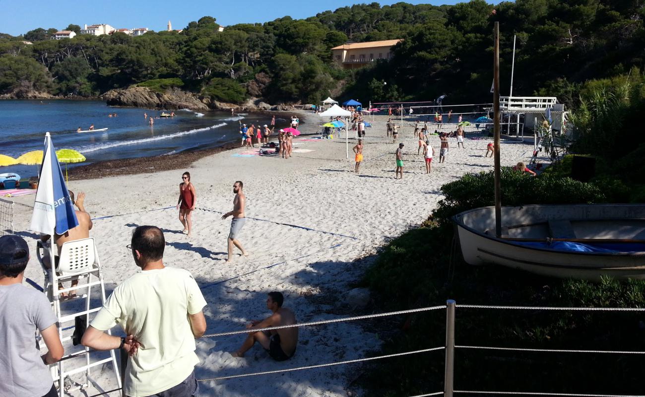 Foto de Plage de la Vignette con arena brillante superficie