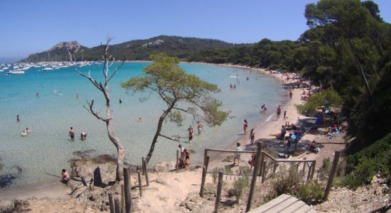 Playa D'Argent