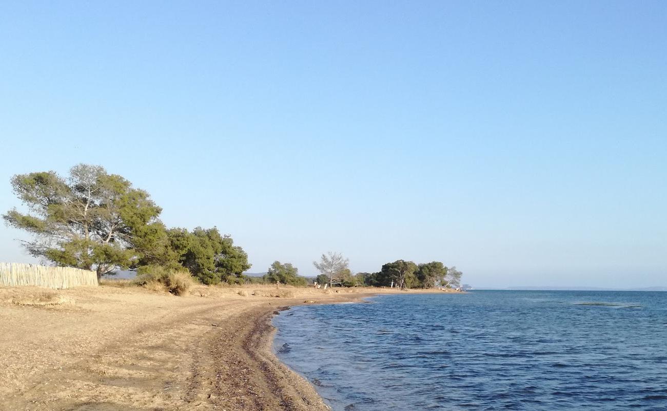 Foto de Plage des Vieux Salins con arena brillante superficie