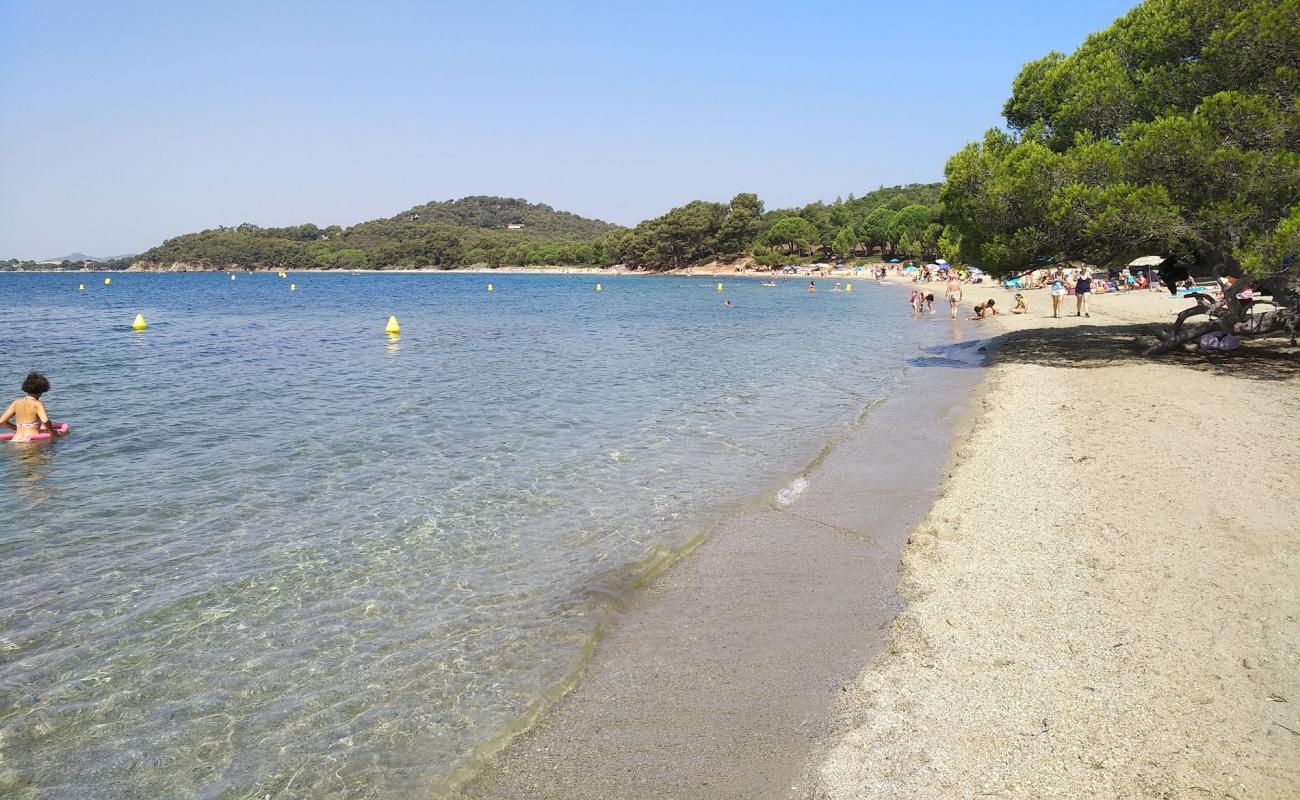 Foto de Playa Pellegrin con arena brillante superficie