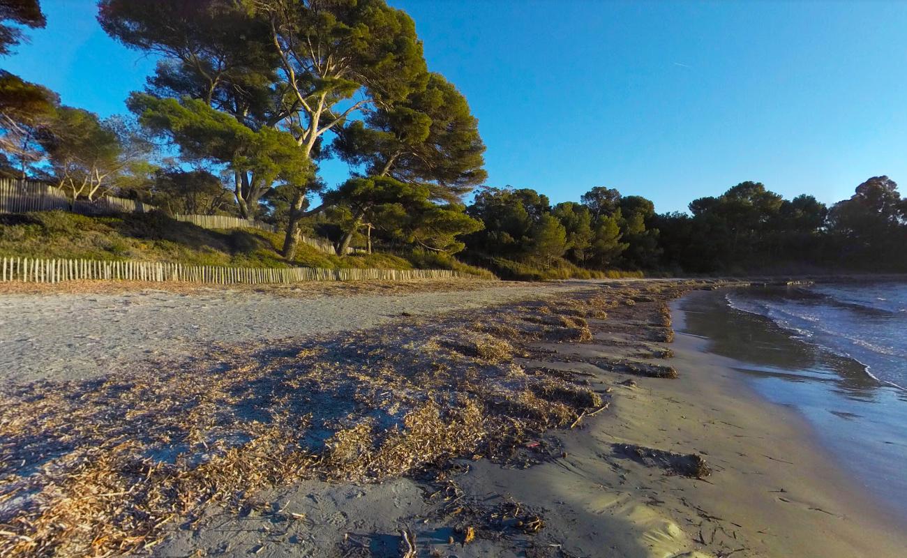 Foto de Leoube beach zona salvaje