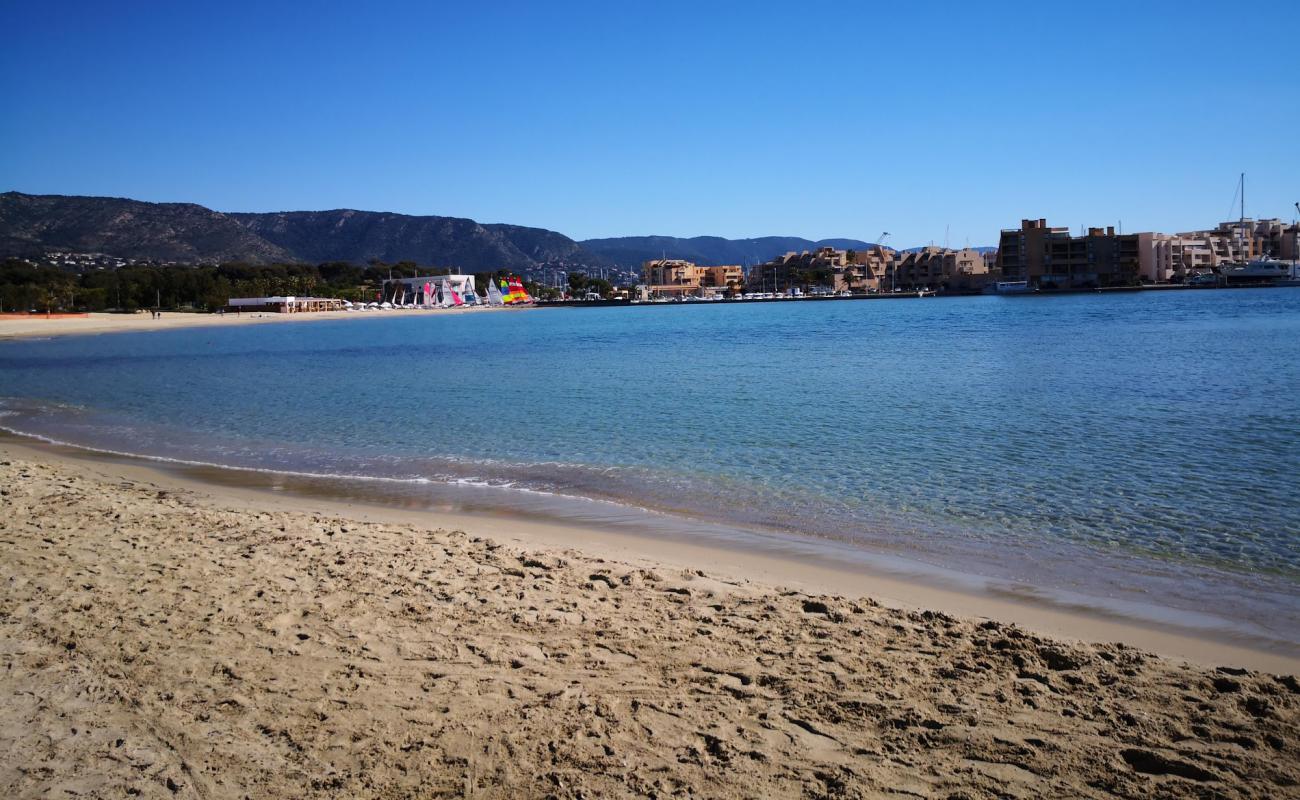 Foto de Playa de La Faviere con brillante arena fina superficie