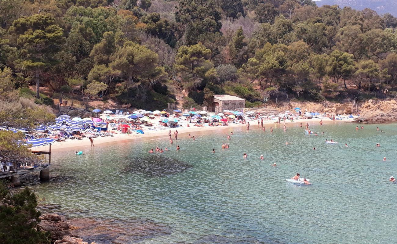 Foto de Playa Layet con arena brillante superficie