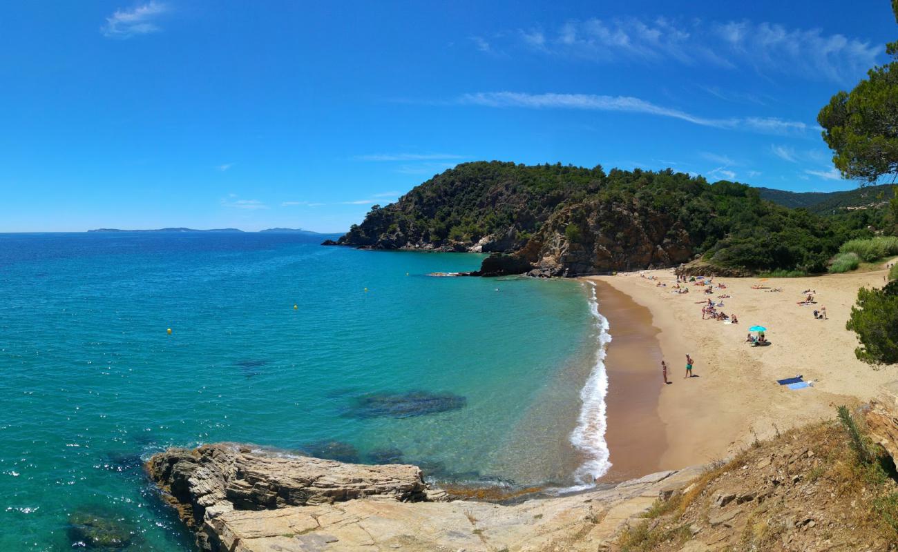 Foto de Playa de Bonporteau con brillante arena fina superficie