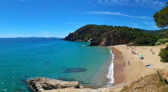 Playa de Bonporteau