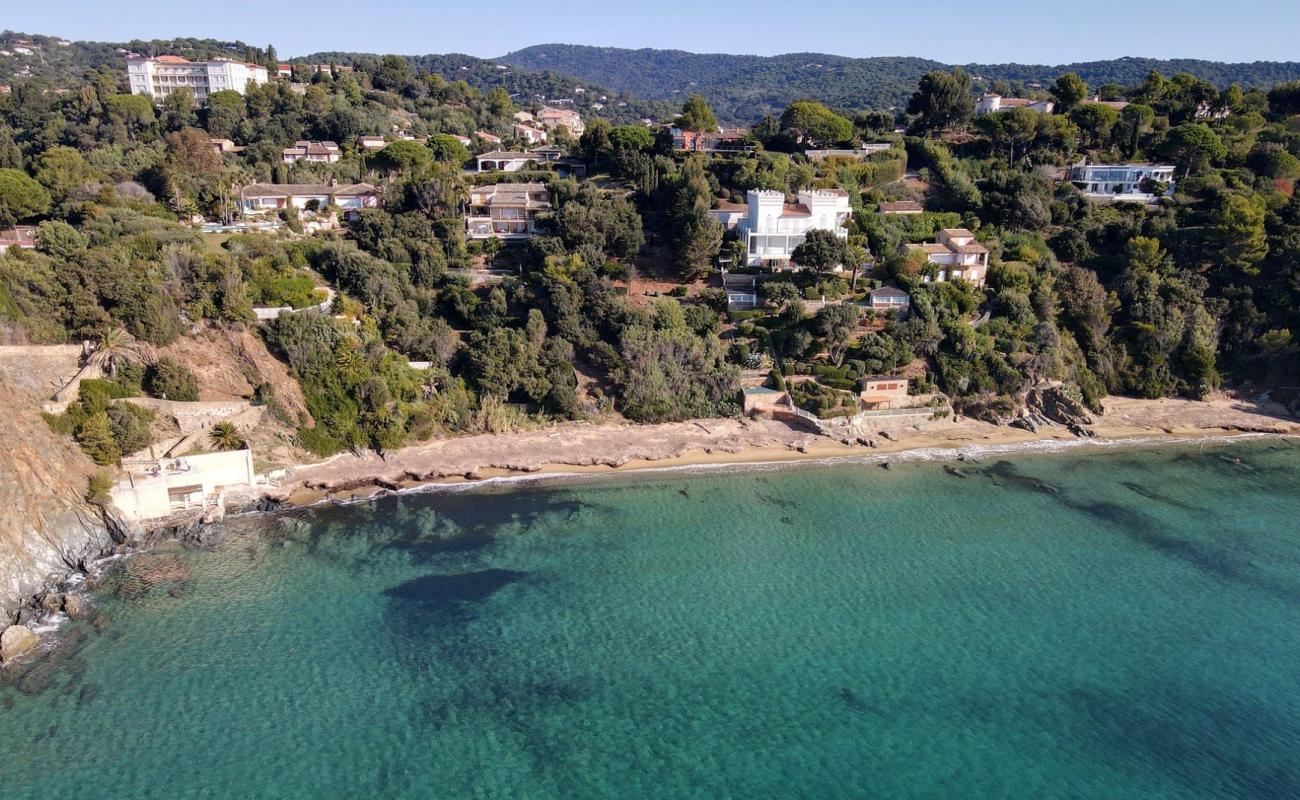 Foto de Plage de Sylvabelle con arena brillante superficie