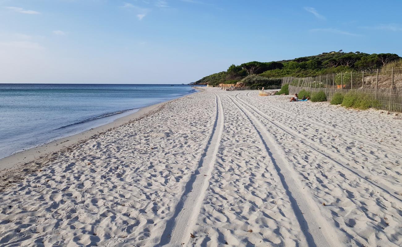 Foto de Salins beach con brillante arena fina superficie