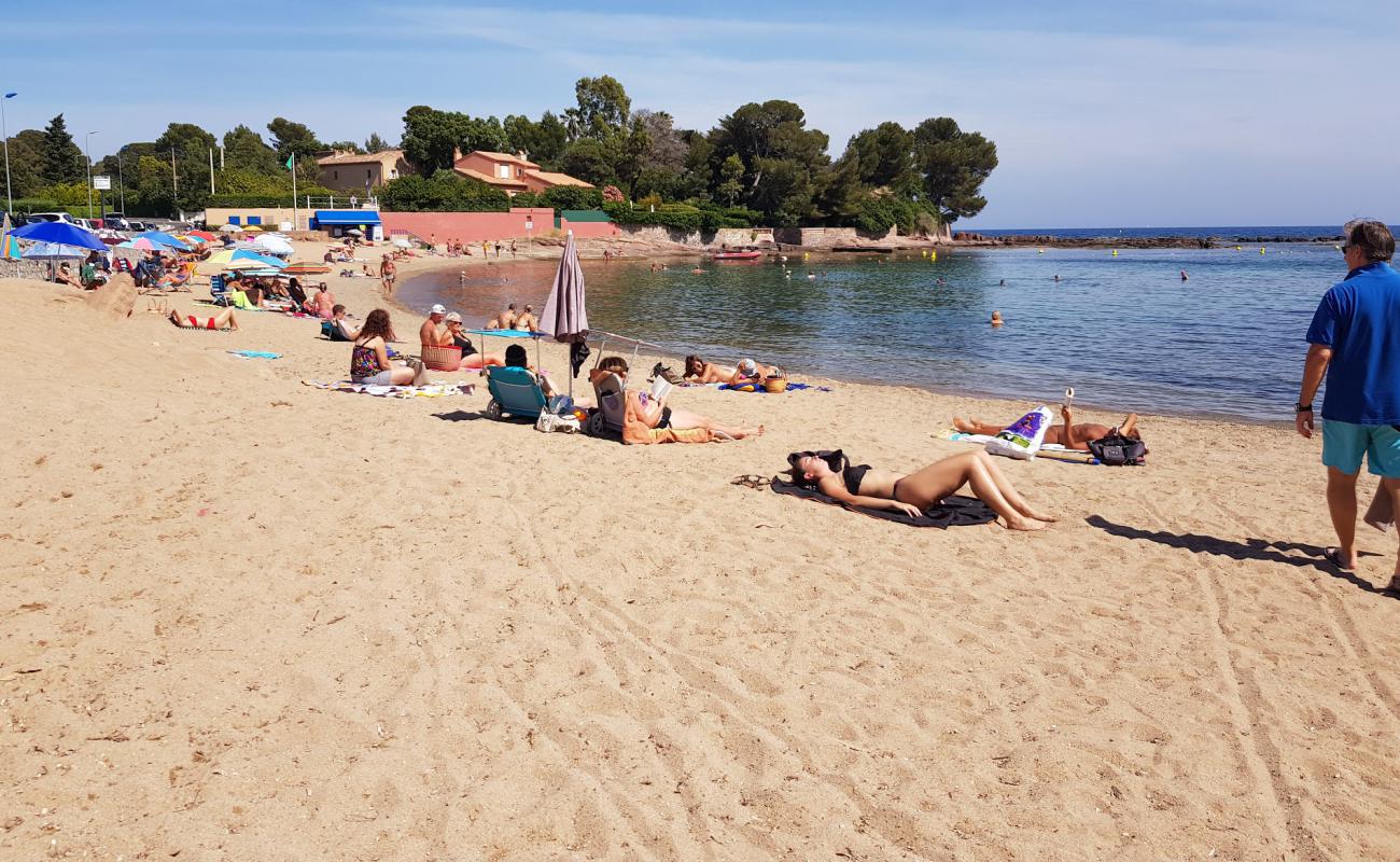 Foto de Plage de la Peguiere con arena brillante superficie