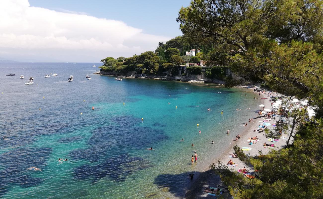 Foto de Playa Paloma con guijarro fino claro superficie