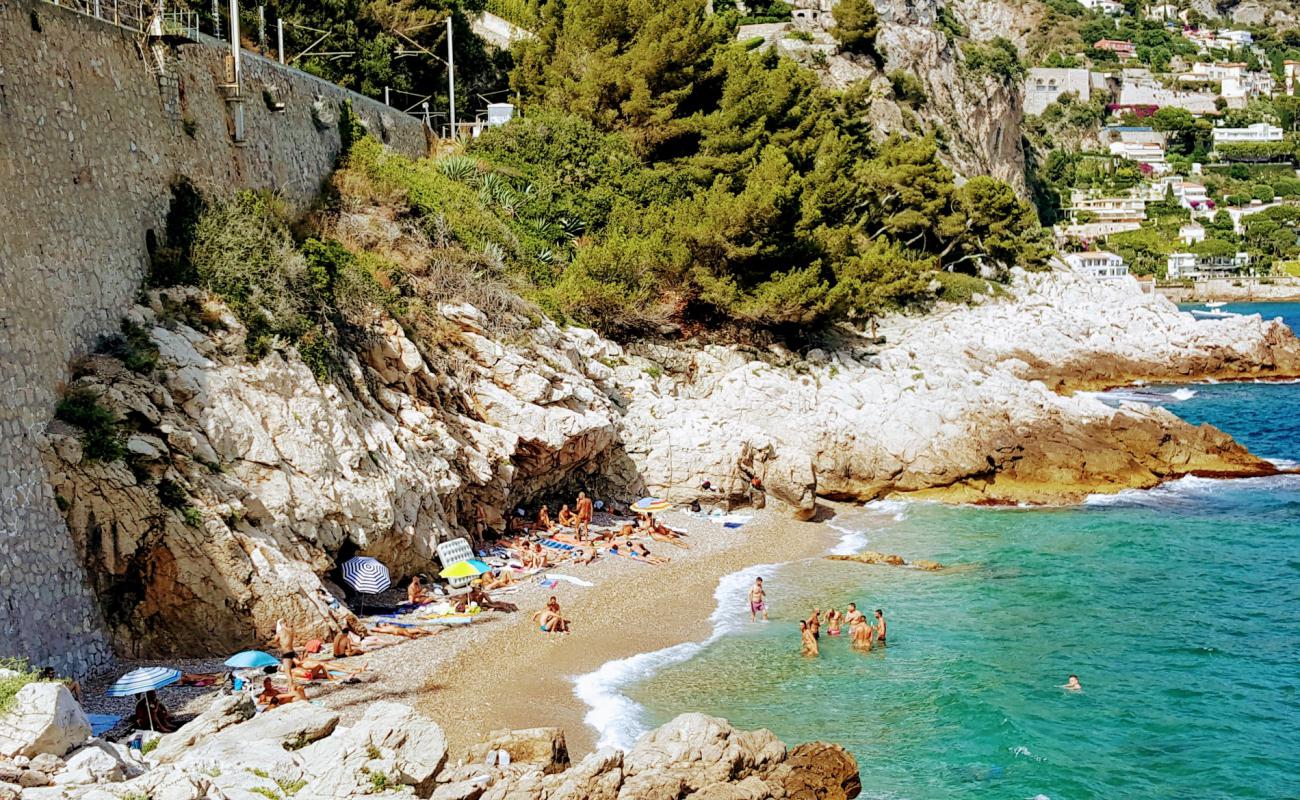 Foto de Criques du Cap Estel con guijarro fino claro superficie