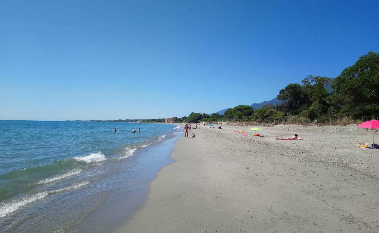 Foto de Ponticchio beach con arena brillante superficie