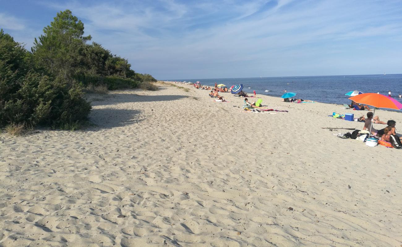 Foto de Plage Pinia con brillante arena fina superficie