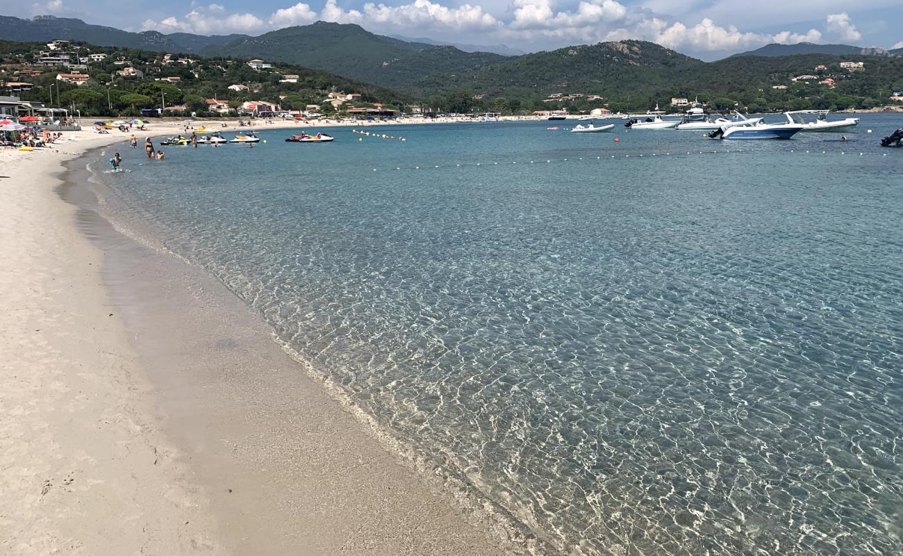 Foto de Plage de Favone con arena brillante superficie