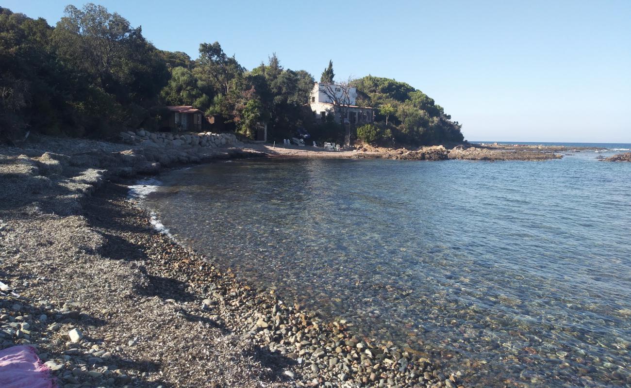 Foto de Plage Figa con guijarro gris superficie