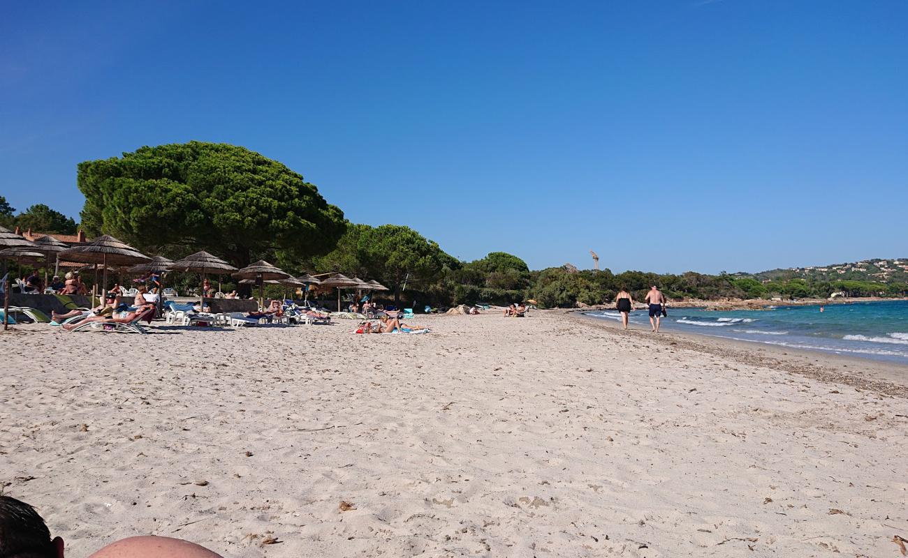 Foto de Plage de Pinarellu con arena brillante superficie