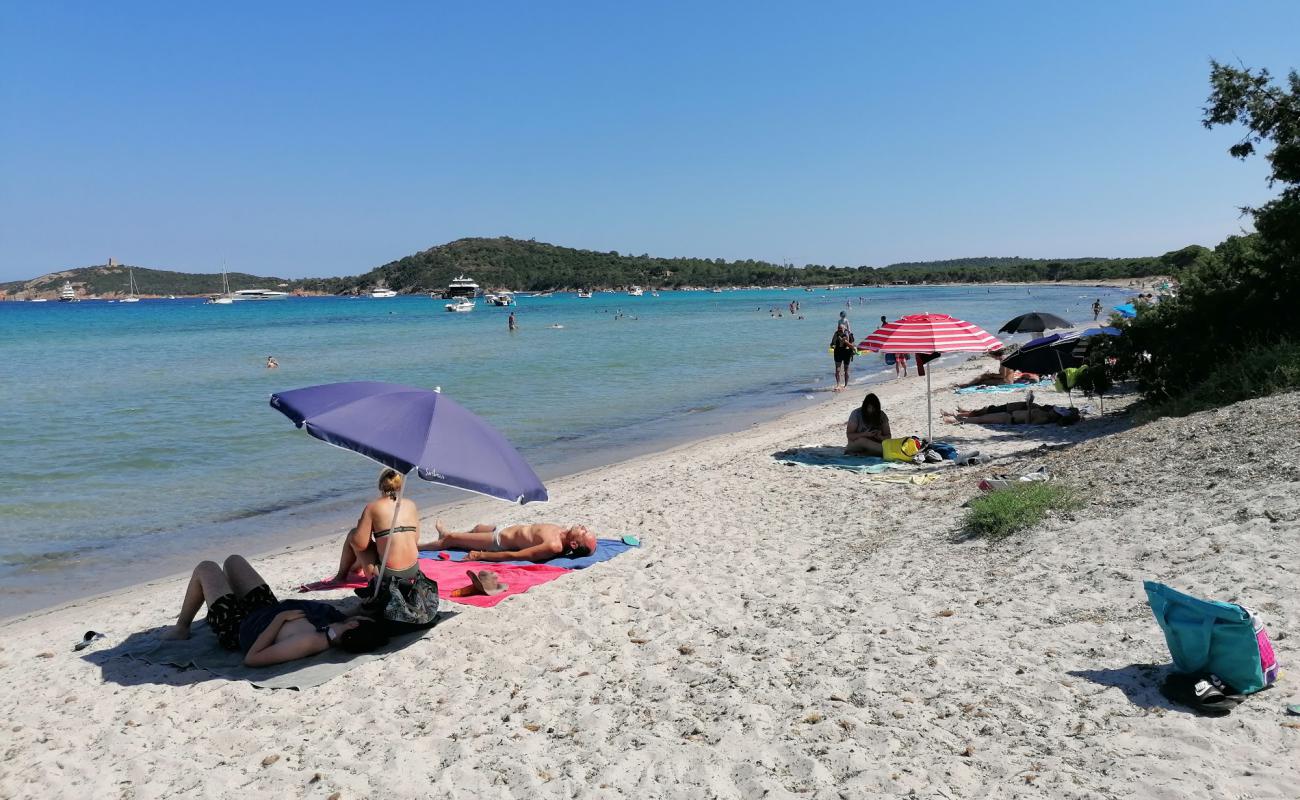 Foto de Playa de Pinarellu con brillante arena fina superficie