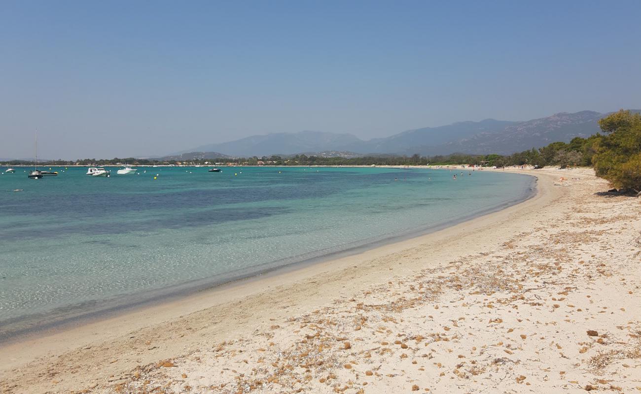 Foto de Plage de Pinarellu II con brillante arena fina superficie