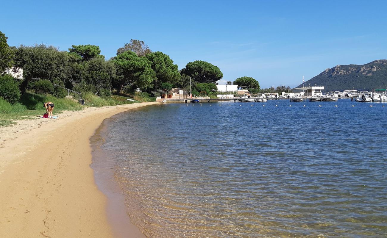 Foto de Plage Punta di Benedettu V con arena brillante superficie