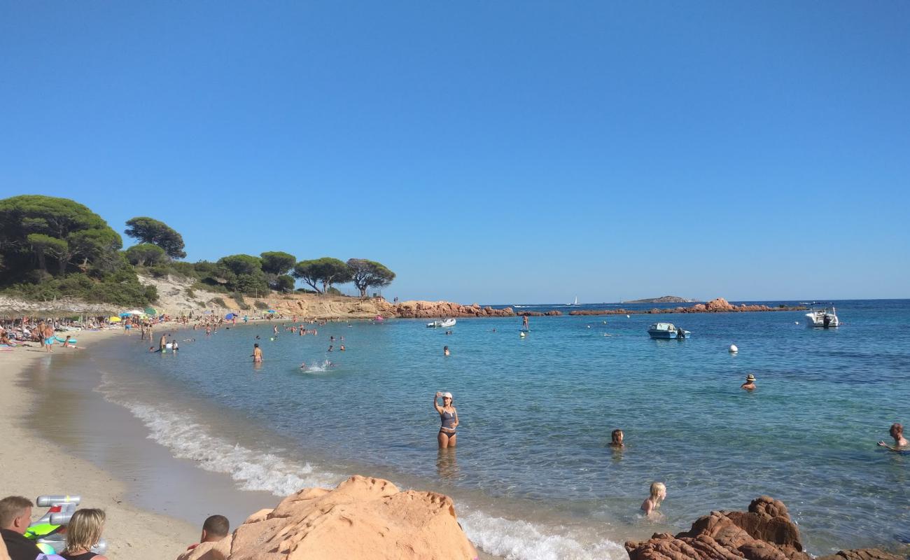 Foto de Playa de Palombaggia con arena brillante superficie