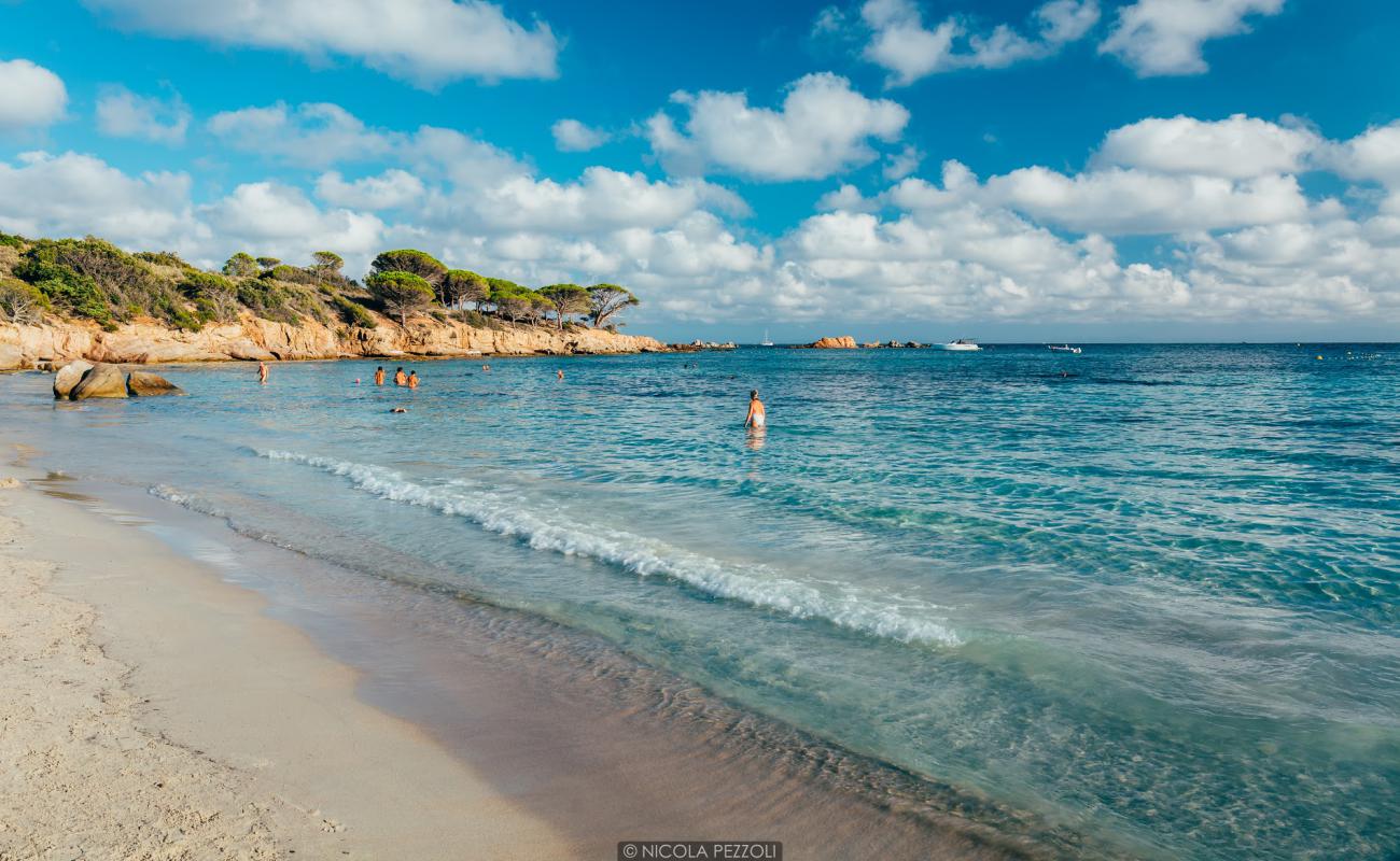 Foto de Plage d'Acciaju con arena brillante superficie