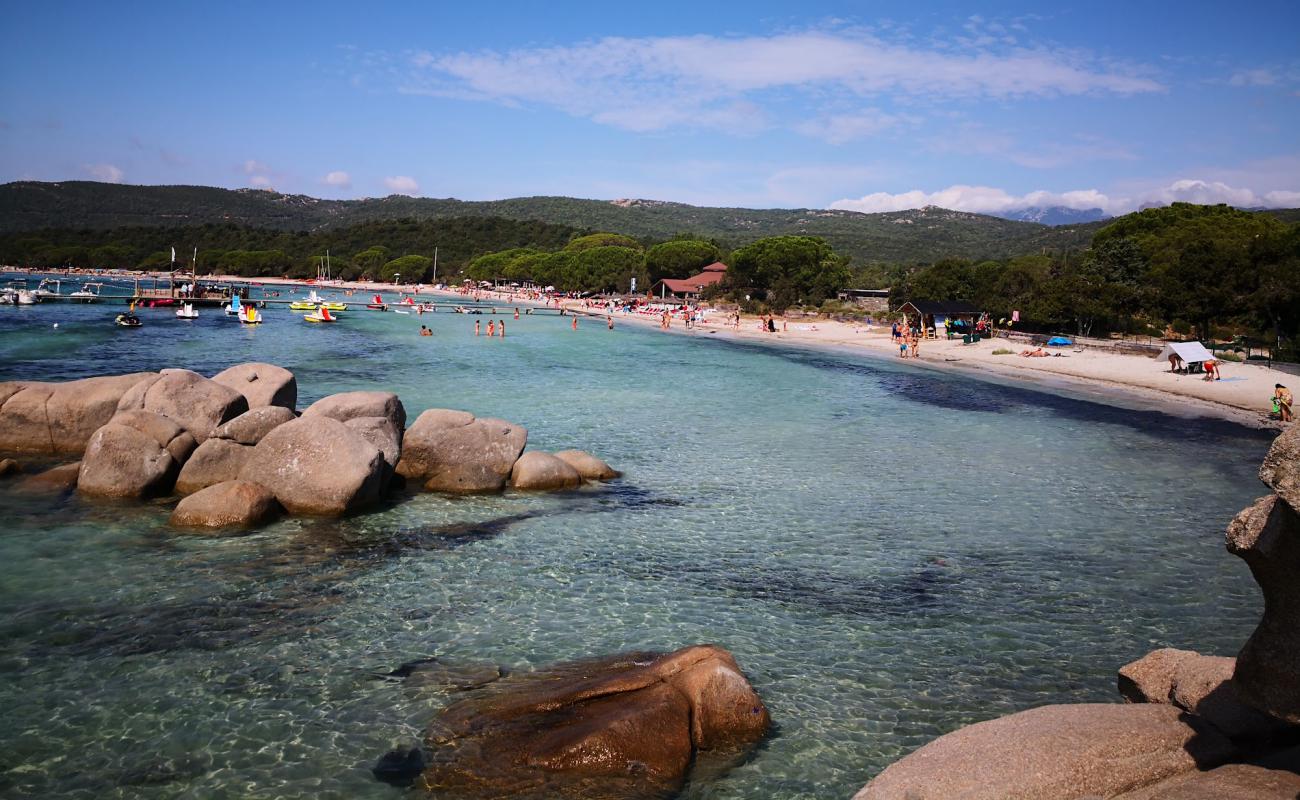 Foto de Plage de Santa Giulia con arena brillante superficie