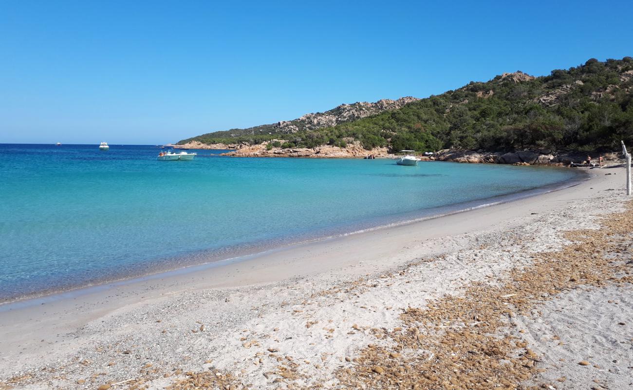 Foto de Plage De Porto-Novo con arena brillante superficie