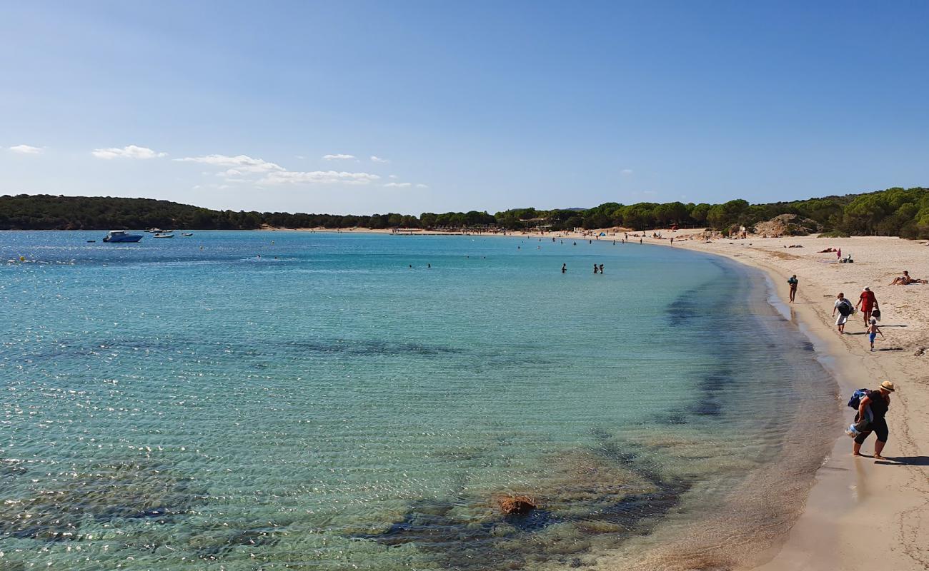 Foto de Playa de Rondinara con arena brillante superficie