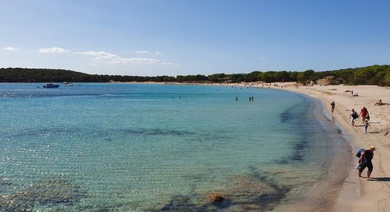 Playa de Rondinara