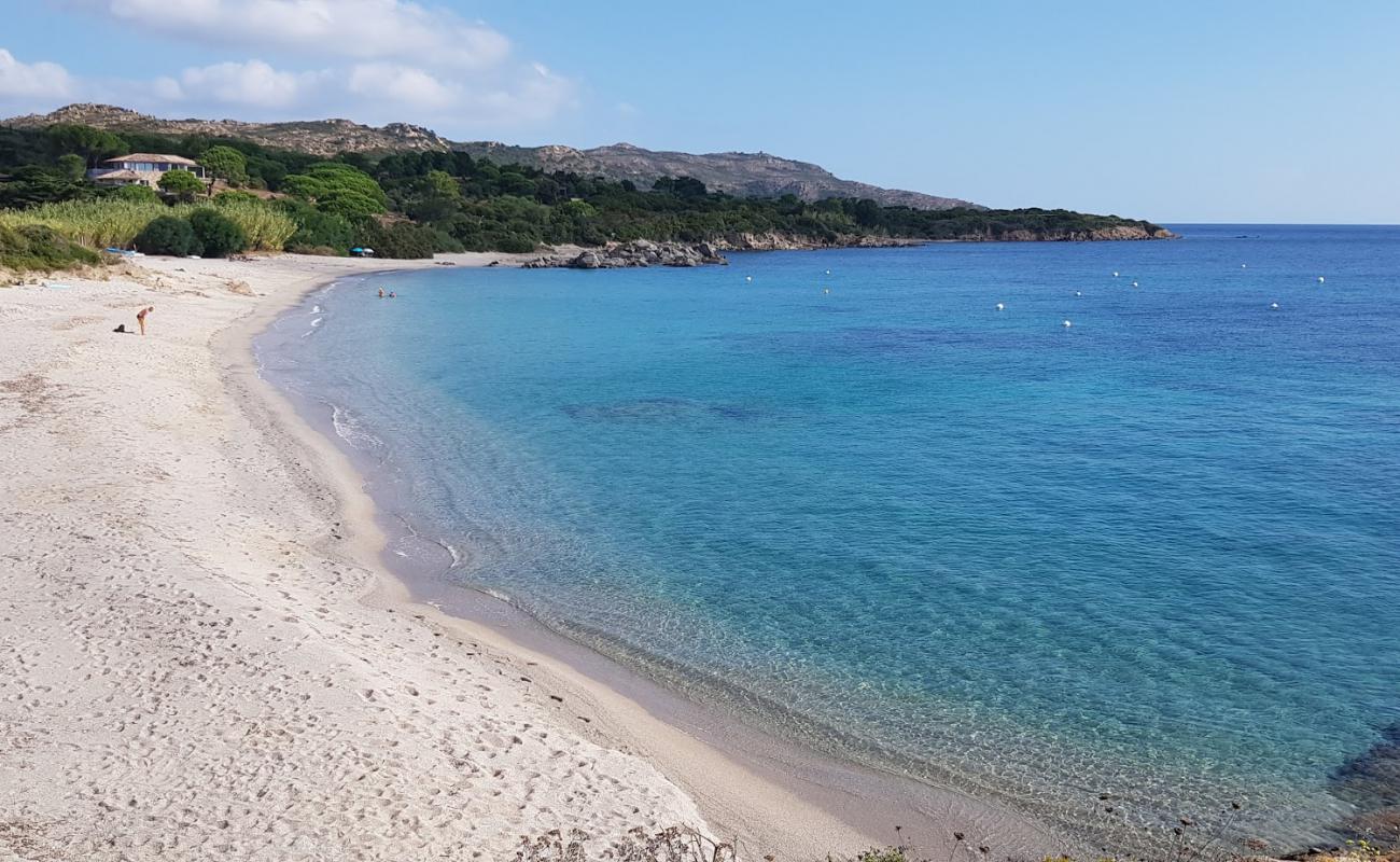 Foto de Plage de Cala longa III con arena brillante superficie