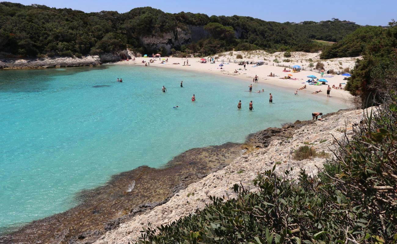 Foto de Playa Petit Sperone con brillante arena fina superficie