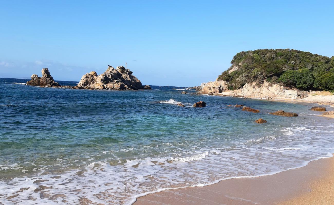 Foto de Plage de Cala Sciumara con arena brillante superficie