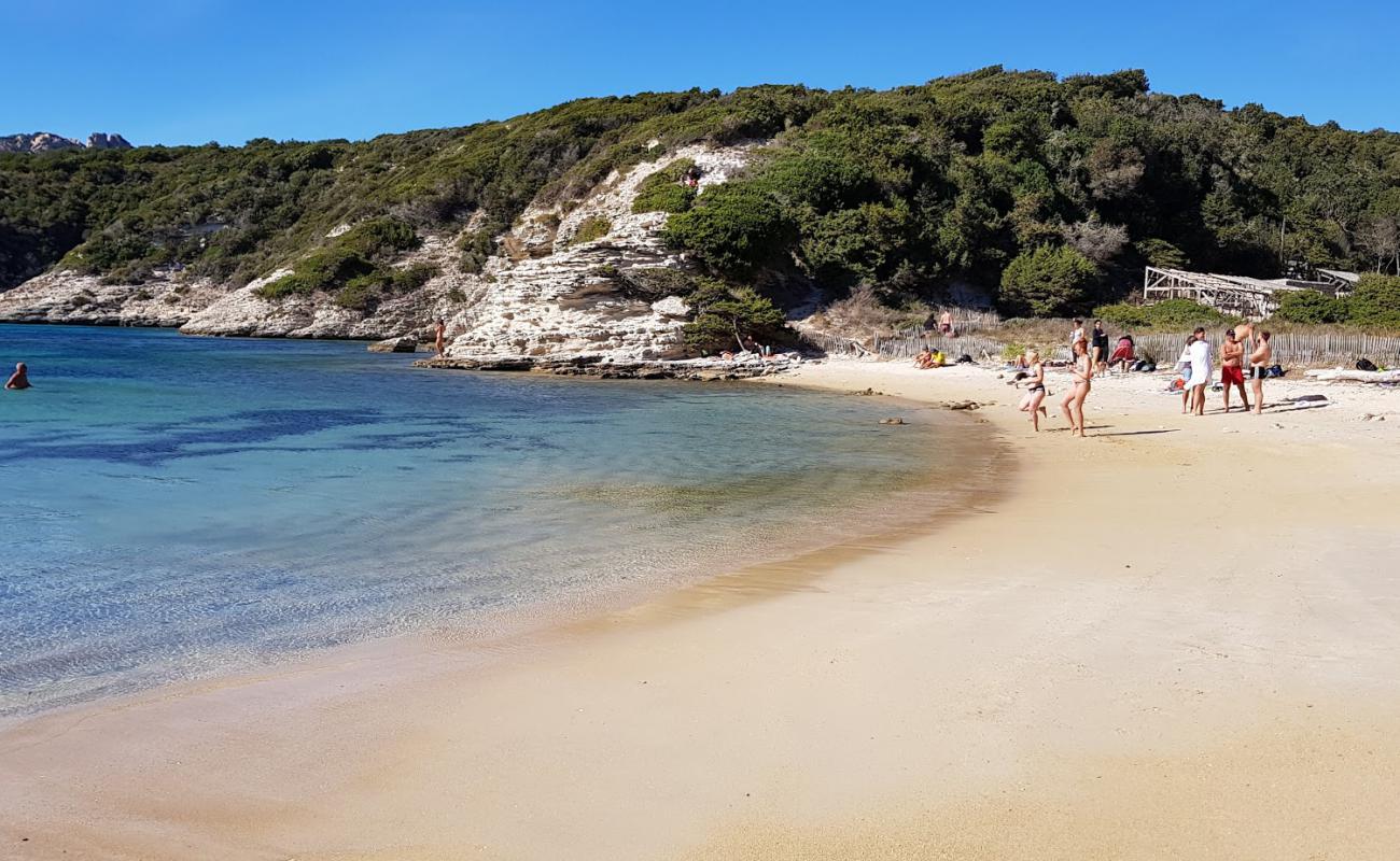 Foto de Fazzio beach con arena brillante superficie