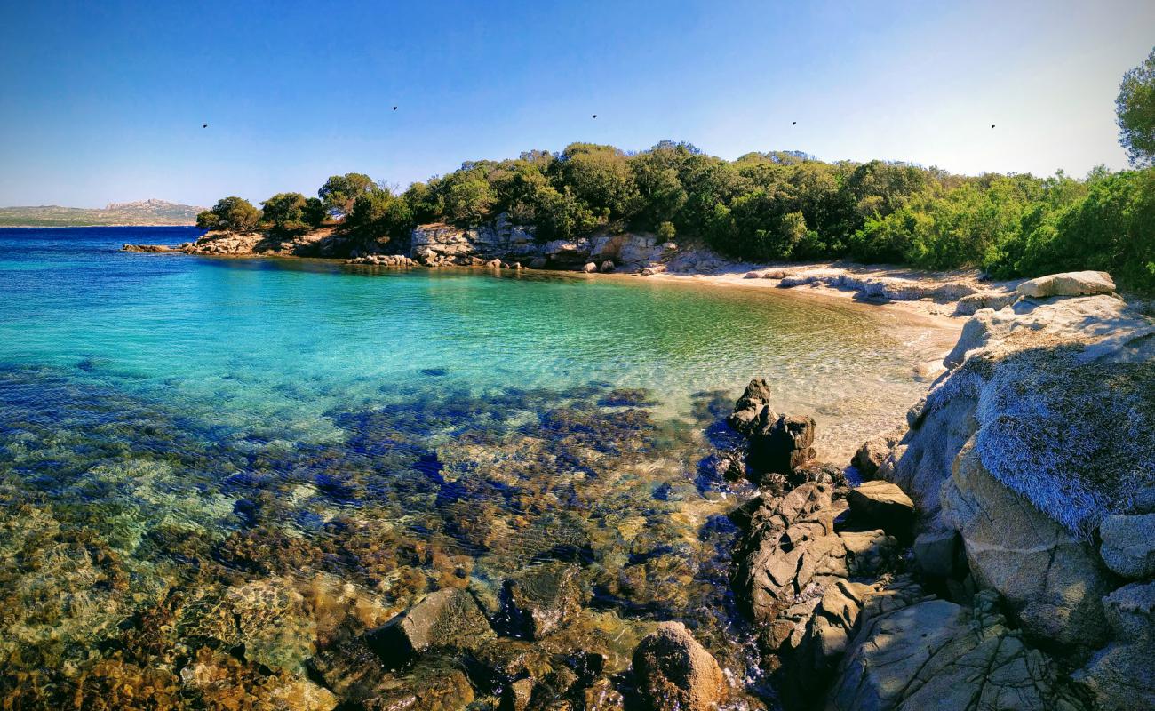 Foto de La Testa beach con arena brillante superficie