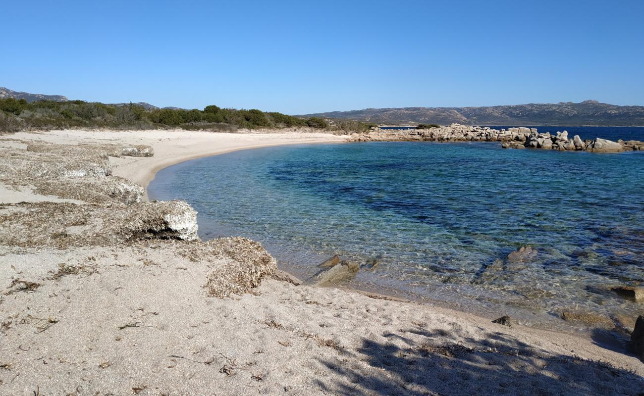 Foto de La Testa beach III con arena brillante superficie