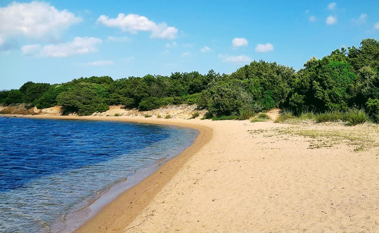 Foto de Figari beach con brillante arena fina superficie