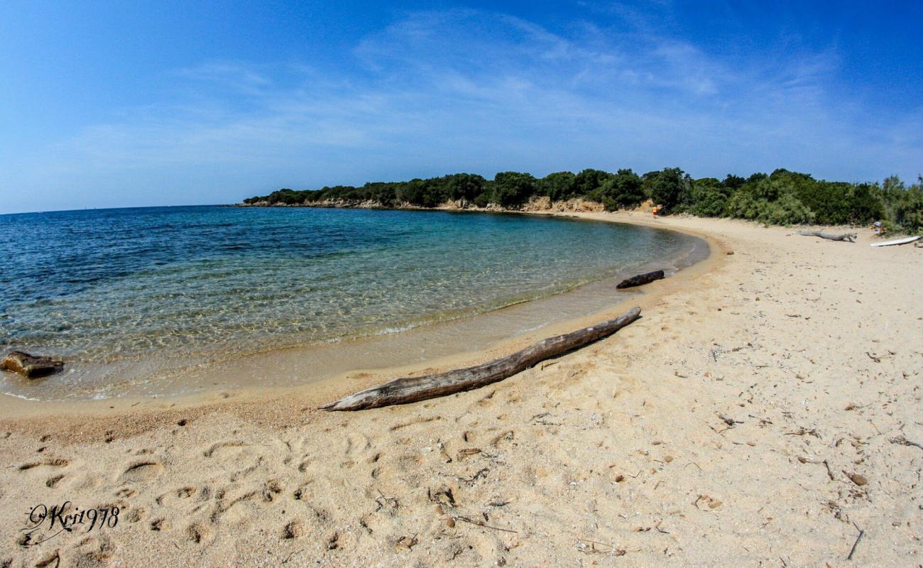 Foto de Arbitru beach con arena brillante superficie