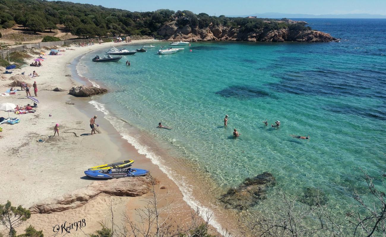 Foto de Plage de Furnellu con arena brillante superficie