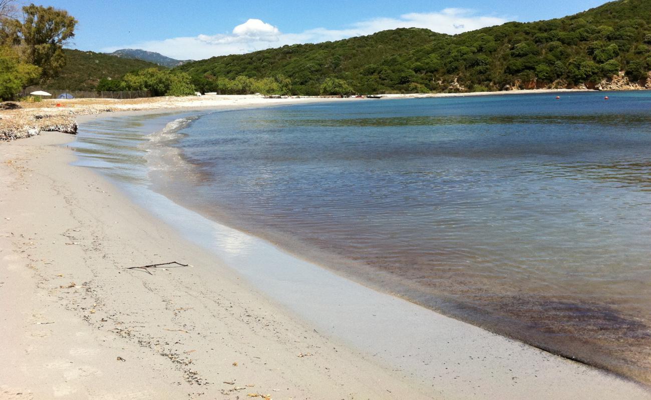 Foto de Plage de Furnellu II con arena brillante superficie