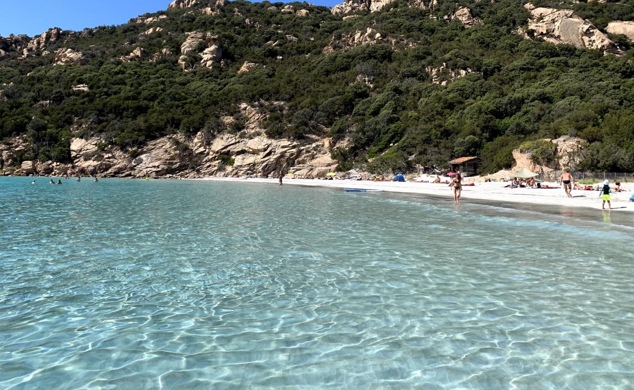 Foto de Playa de Roccapina con arena brillante superficie