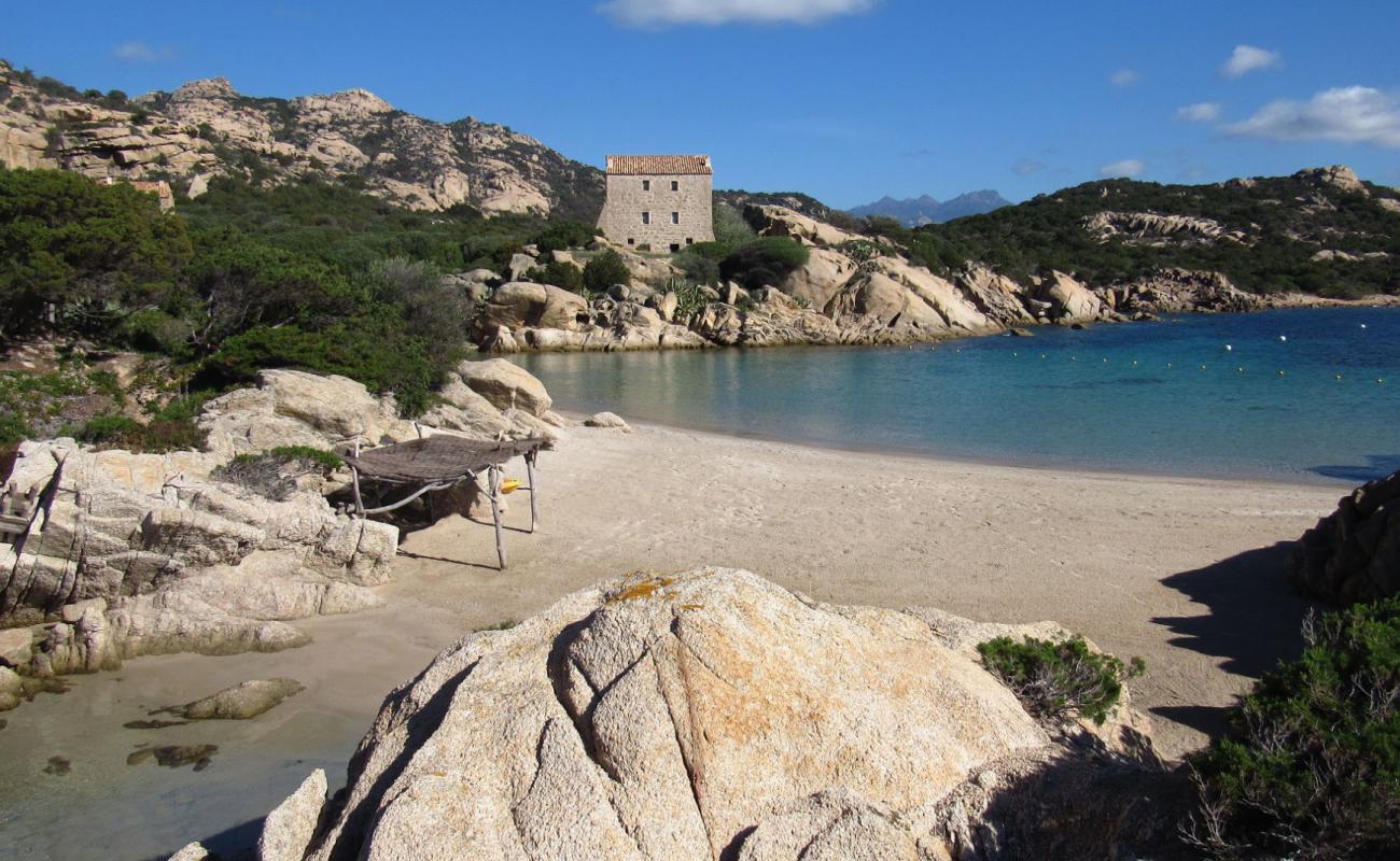 Foto de Murtoli beach con brillante arena fina superficie