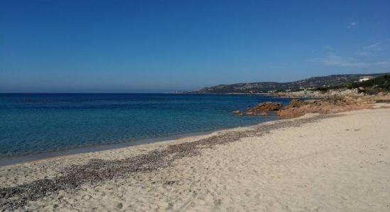 Playa de Tizzano