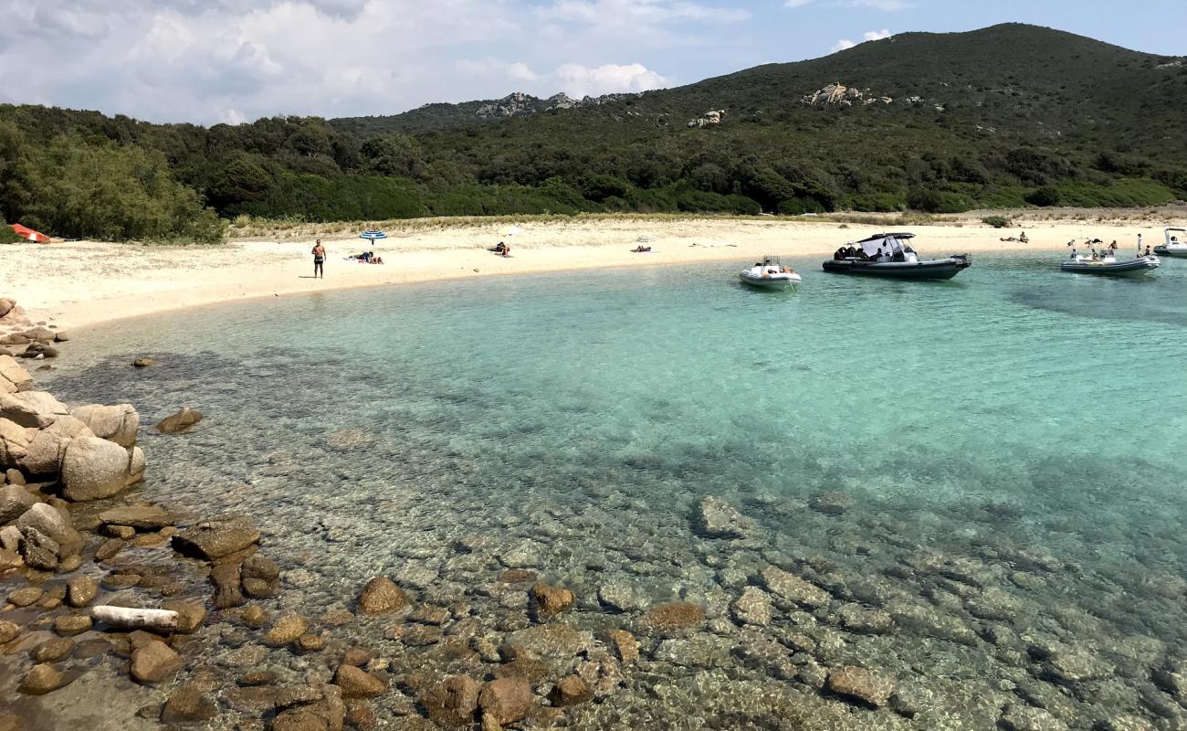 Foto de Cala di Conca con arena brillante superficie