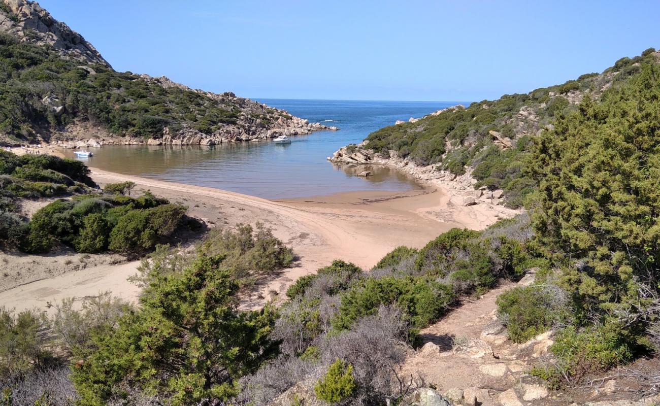 Foto de Cala D'agulia con brillante arena fina superficie