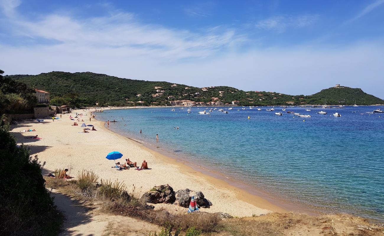 Foto de Playa de Campomoro con arena brillante superficie