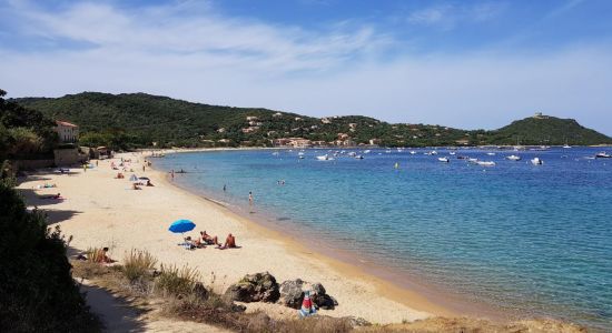 Playa de Campomoro