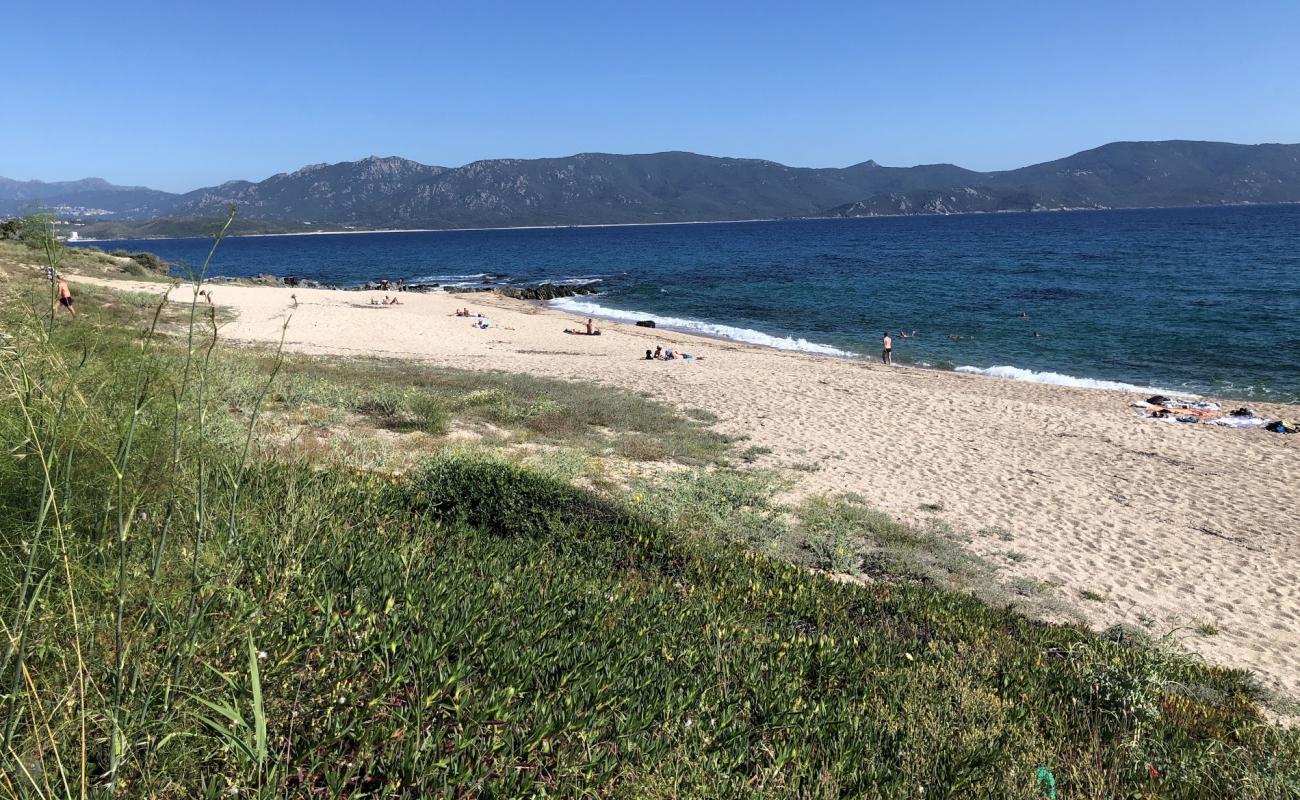 Foto de Scodi Neri beach II con brillante arena fina superficie