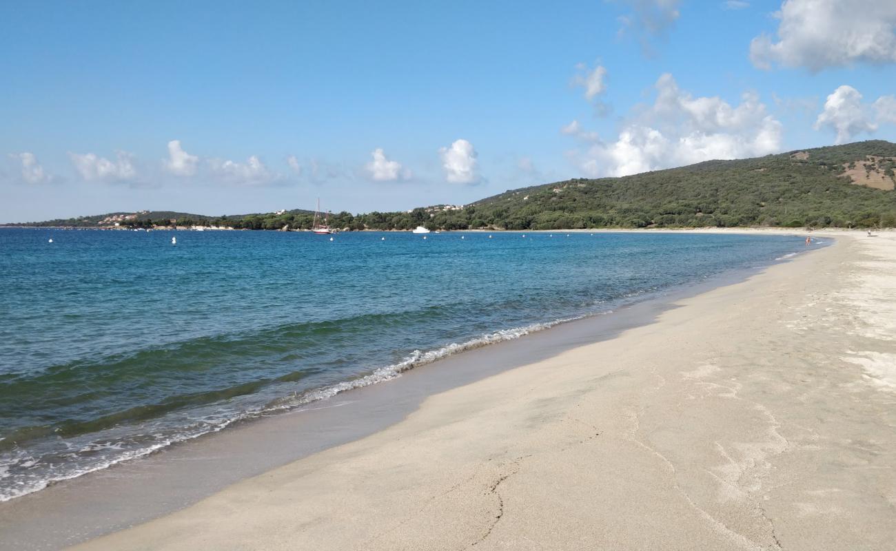 Foto de beach of Taravo con brillante arena fina superficie