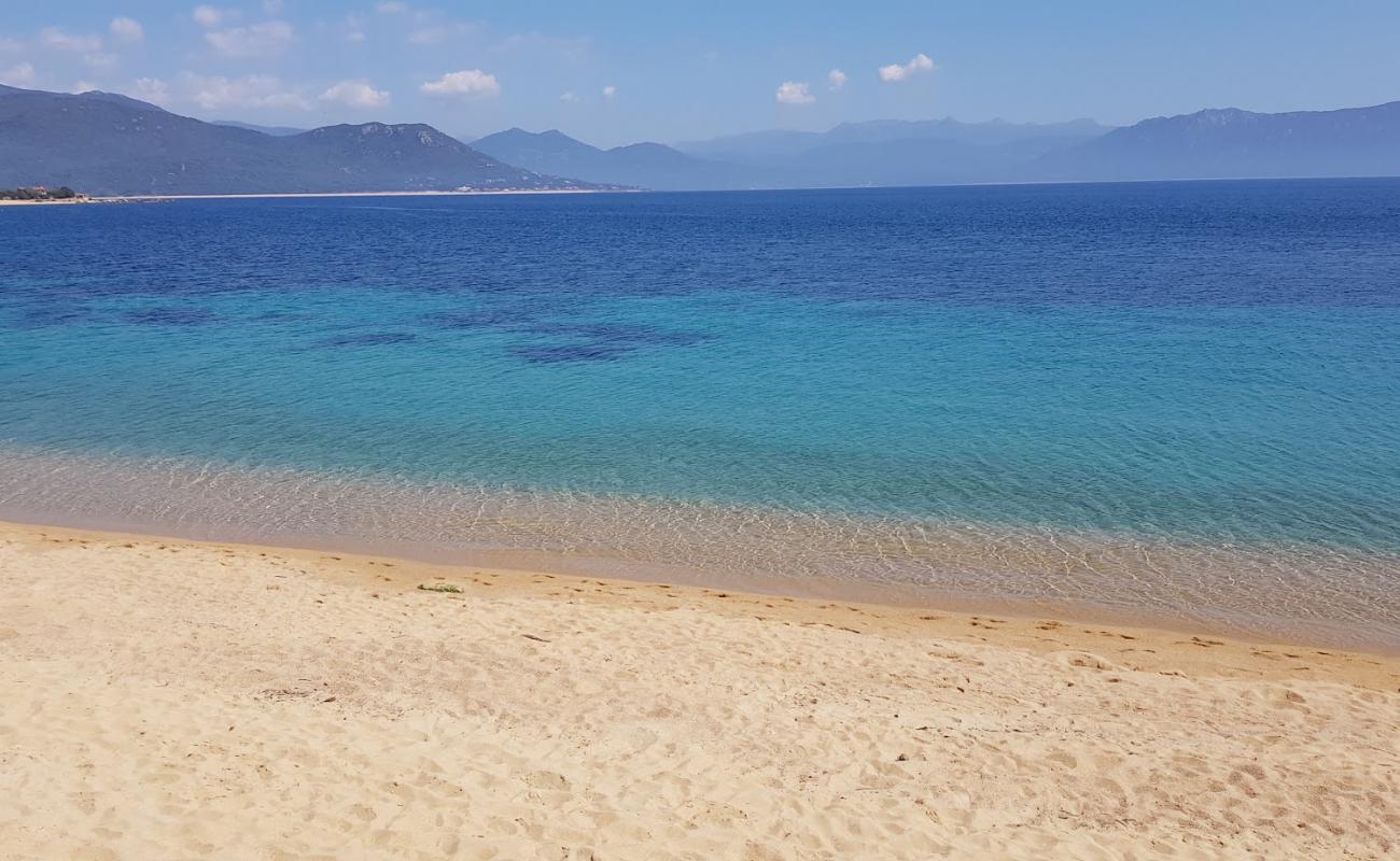 Foto de Porto Pollo beach con brillante arena fina superficie