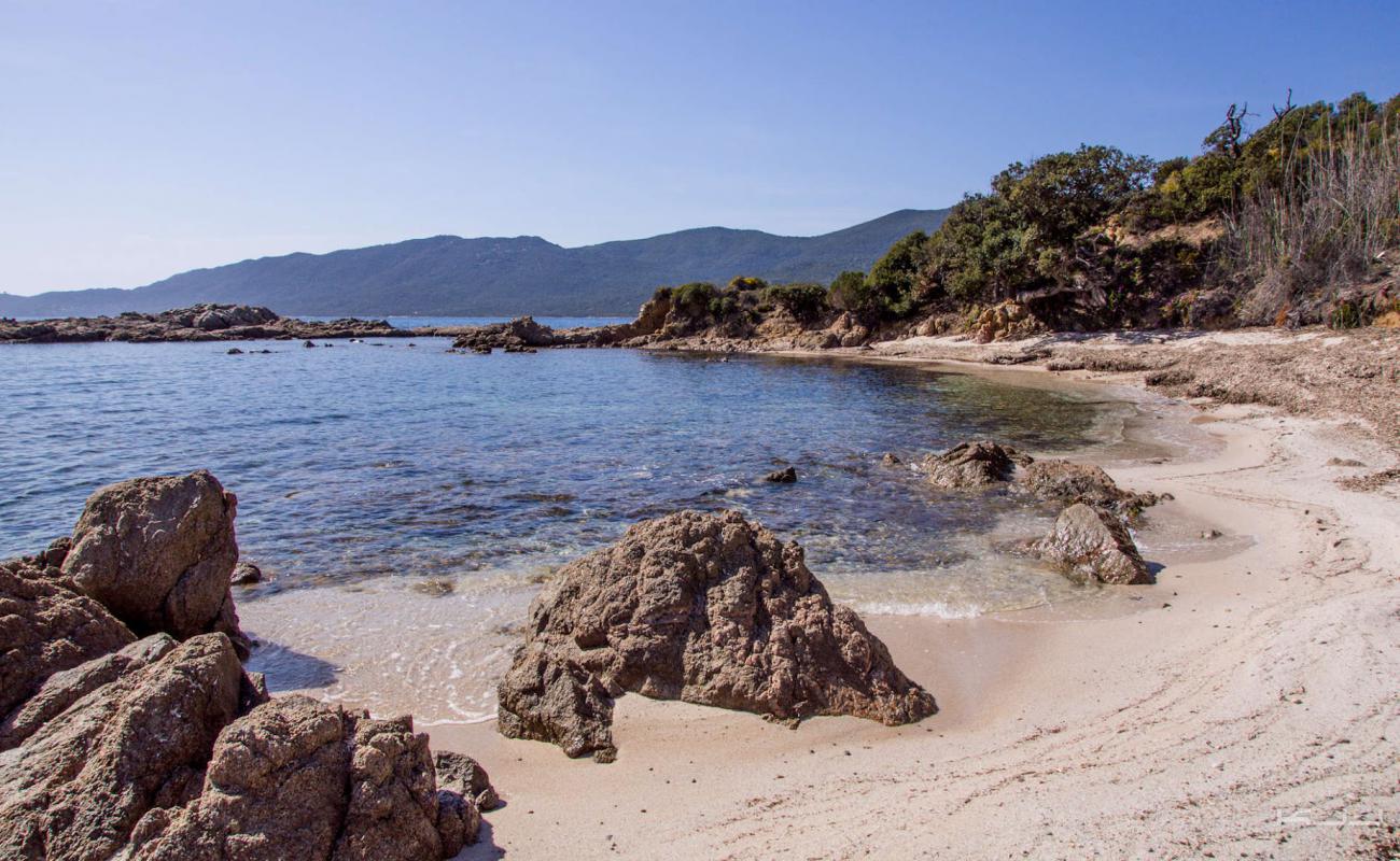 Foto de Capanella beach con arena brillante y rocas superficie