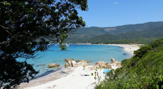 Playa de Cupabia